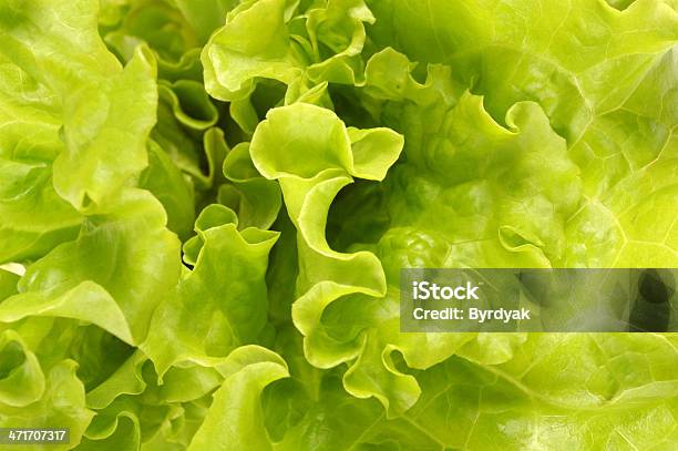 Ensalada Verde Foto de stock y más banco de imágenes de Alimento - Alimento, Antioxidante, Brillante