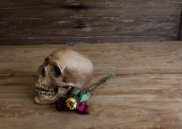 istock Skull on old wooden floor 471707912