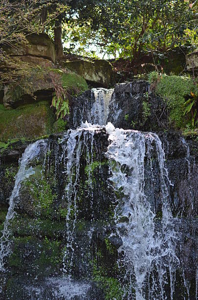 Garden ornamental waterfall.  Waterfall in a British formal landscaped garden during Spring. Hever Castle stock pictures, royalty-free photos & images