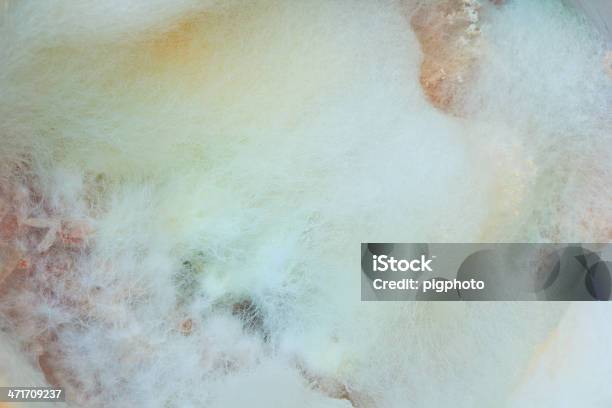 Foto de Moldar Ou Cogumelos Fundo e mais fotos de stock de Abstrato - Abstrato, Alimentação Não-saudável, Anti-higiênico