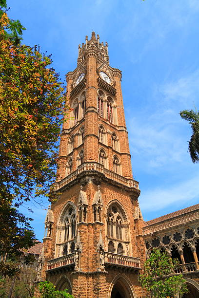 istock The University of Mumbai 471709805