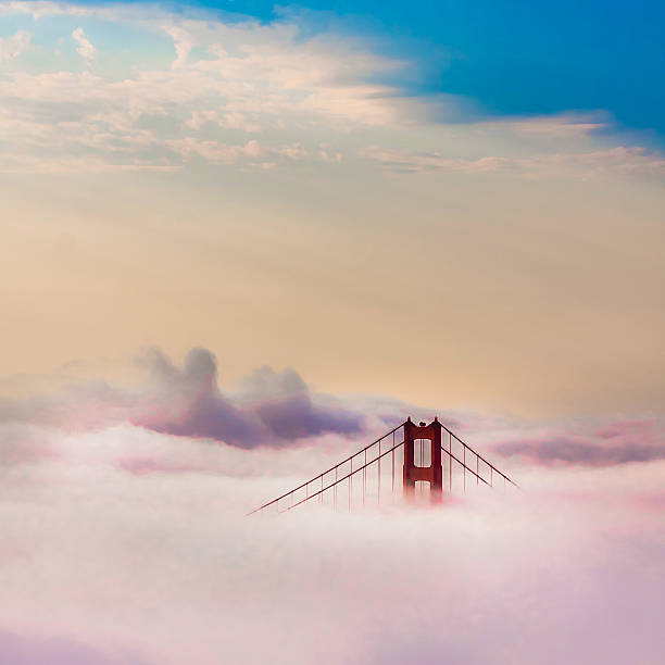 die golden gate bridge über den wolken nach sonnenaufgang in san francisco - san francisco county bridge california fog stock-fotos und bilder