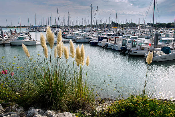 istock Saint Denis Oleron in France 471710759