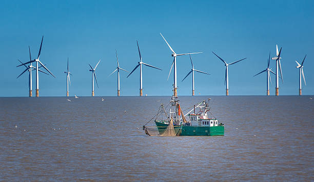 Off-Turbina Eólica - fotografia de stock