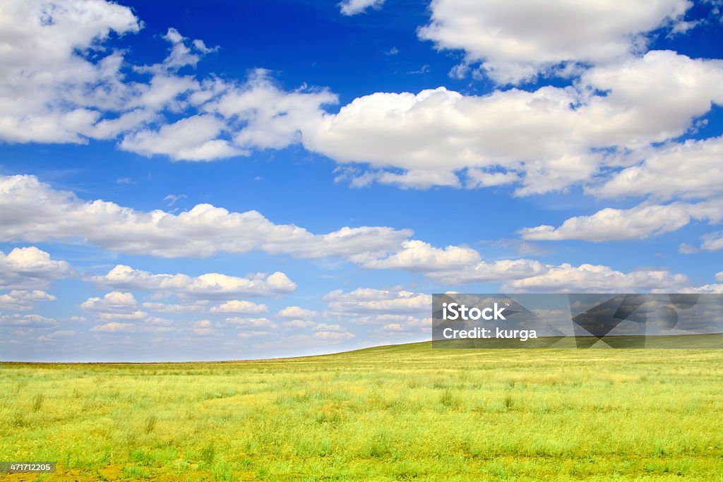 Campo em um fundo de céu azul - Royalty-free Agricultura Foto de stock