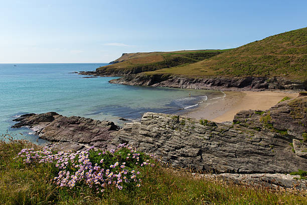 istock New Polzeath beach and Cornwall coast 471713109