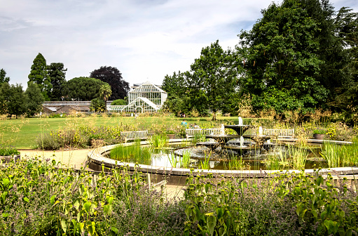 Botanic garden in Cambridge, England