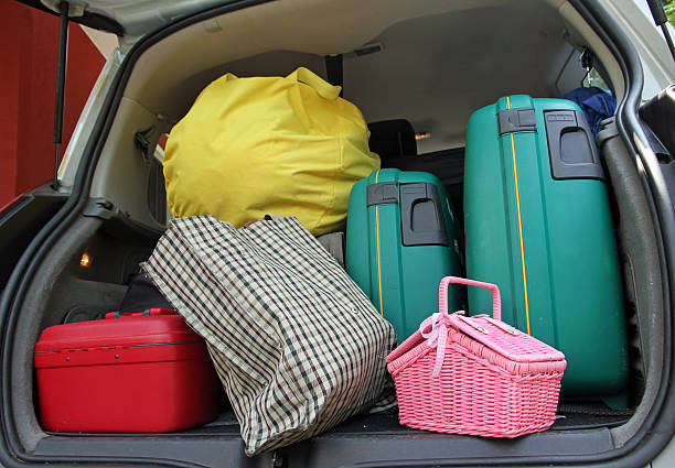 istock two green suitcase and a pink trash bag 471714289