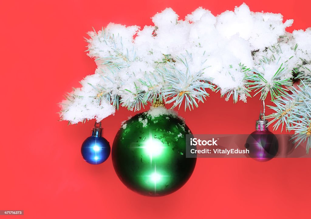 Bolas de neve coberta de ramos de abeto. - Foto de stock de Azul royalty-free