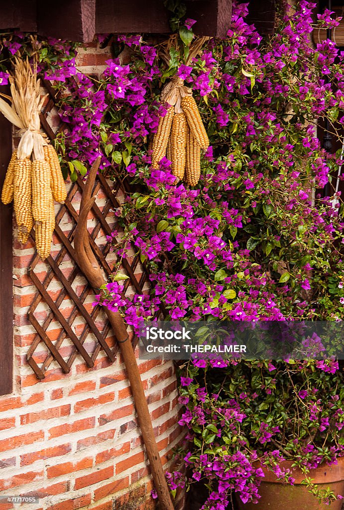 Maíz cobs - Foto de stock de Amarillo - Color libre de derechos