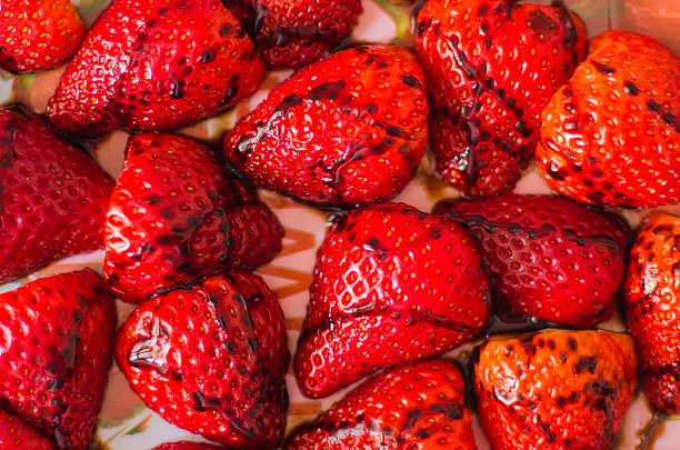 fresas en vinagre - vinagre balsámico fotografías e imágenes de stock