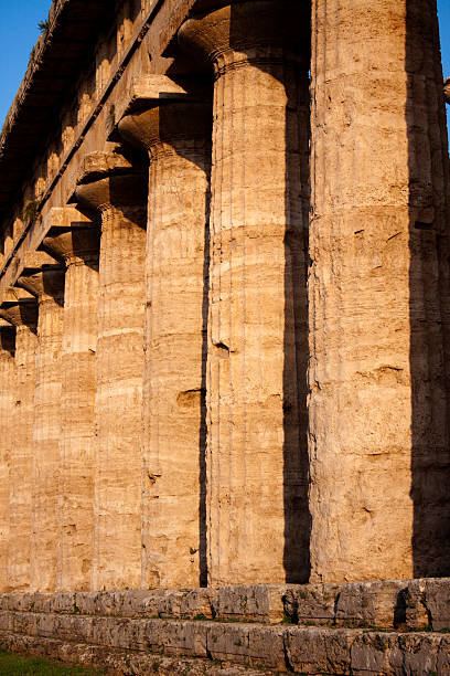 griechische antiken säulen der hera-tempel in paestum, italien - social history minerva past ancient stock-fotos und bilder