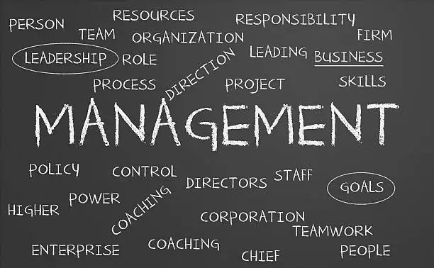 Photo of Management word cloud