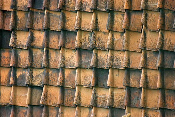 Roof tiles Roof tiles dachpfannen stock pictures, royalty-free photos & images