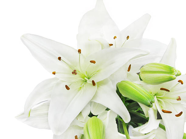 istock bouquet of white lilies flowers 471719199