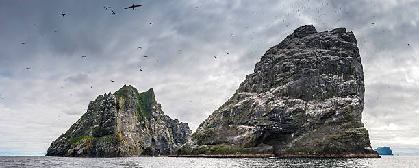 istock Remote sea stack bird colony Hebridean island St Kilda Scotland 471719327