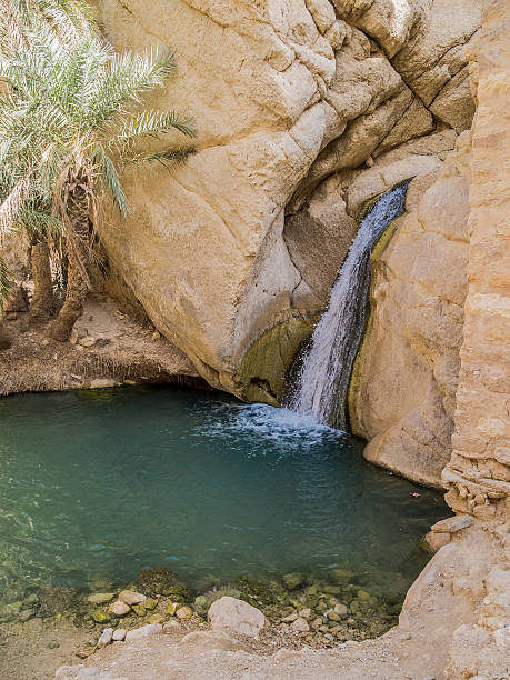 istock mountain oasis Chebika in Sahara desert, Tunisia 471719373