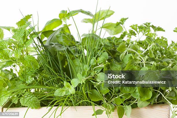 Plantas Aromáticas No Cesto - Fotografias de stock e mais imagens de Alimentação Saudável - Alimentação Saudável, Botânica - Ciência de plantas, Cebolinho