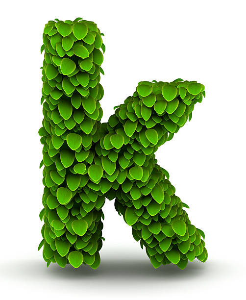 blätter schrift buchstabe k kleinbuchstaben - letter k alphabet three dimensional shape green stock-fotos und bilder