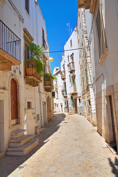 istock Alleyway. Putignano. Puglia. Italy. 471720983