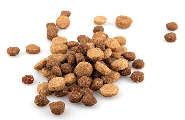 istock Dry Pet Food 471721059