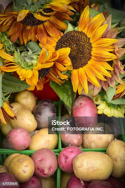 Farmers Market Productos Foto de stock y más banco de imágenes de Canadá - Canadá, Mercado de flores, Mercado - Espacio de comercio