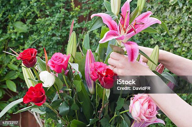 여자 정돈 장미 꽃 꽃 시장에 대한 스톡 사진 및 기타 이미지 - 꽃 시장, 꽃-식물, 꽃꽂이