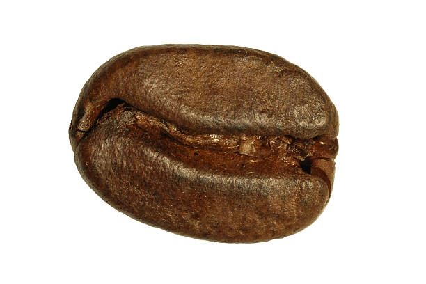 coffee bean stock photo