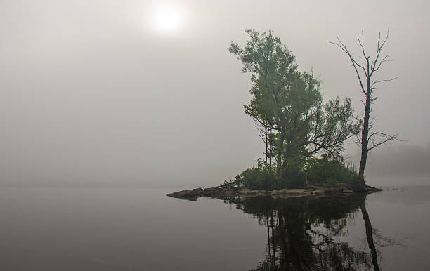 istock Island in the Fog 471723397