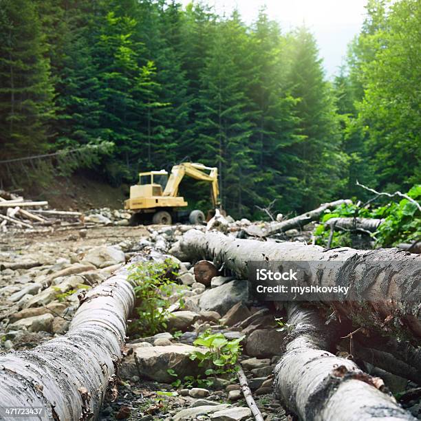 Máquina Excavadora En El Bosque Foto de stock y más banco de imágenes de Árbol - Árbol, Claro - Bosque, Máquina excavadora