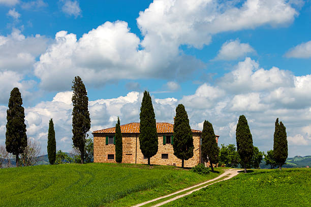 paesaggio della toscana - cloud cloudscape color image cypress tree foto e immagini stock