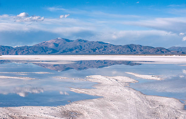 Salinas Grandes salt desert on Argentina Andes Salinas Grandes on Argentina Andes is a salt desert in the Jujuy Province. More significantly, Bolivas Salar de Uyuni is also located in the same region. lakebed stock pictures, royalty-free photos & images