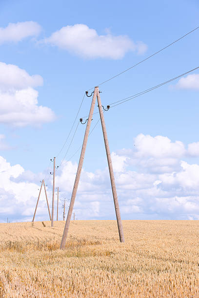istock Poles with wires in the box against 471724973
