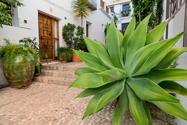 The Altea village in the Costa Blanca, Alicante province,Spain
