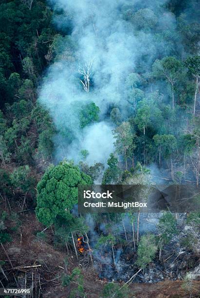 Foto de O Aquecimento Global e mais fotos de stock de Acidentes e desastres - Acidentes e desastres, Agricultura, Arruinado