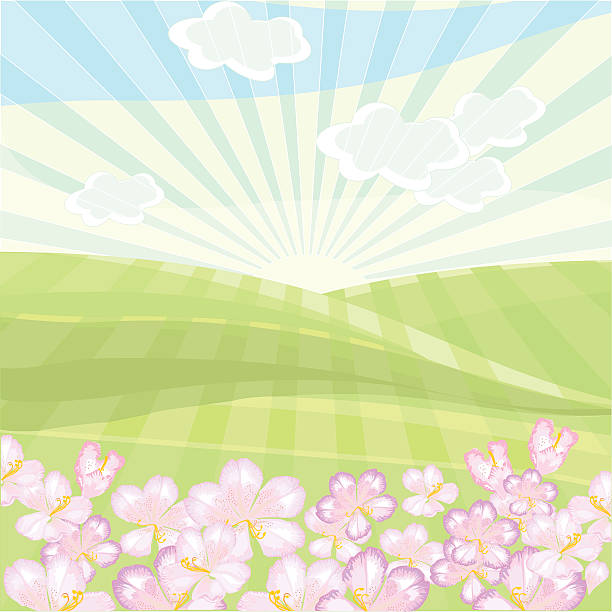 sommer-landschaft und blumen - lea stock-grafiken, -clipart, -cartoons und -symbole