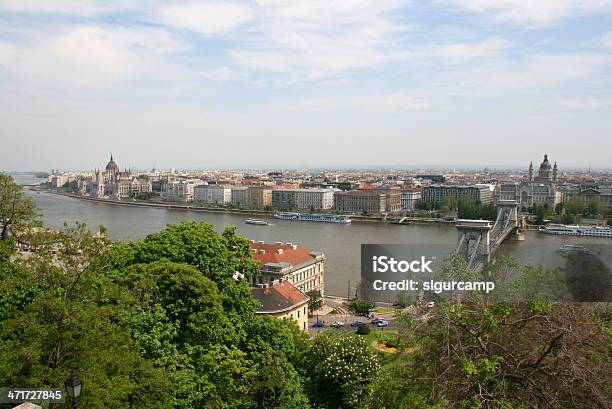 Fiume Danubio Budapest Ungheria - Fotografie stock e altre immagini di Albero - Albero, Ambientazione esterna, Architettura