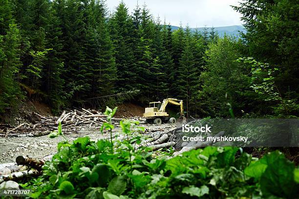 Buldózer Na Floresta - Fotografias de stock e mais imagens de Clareira - Clareira, Ao Ar Livre, Buldózer