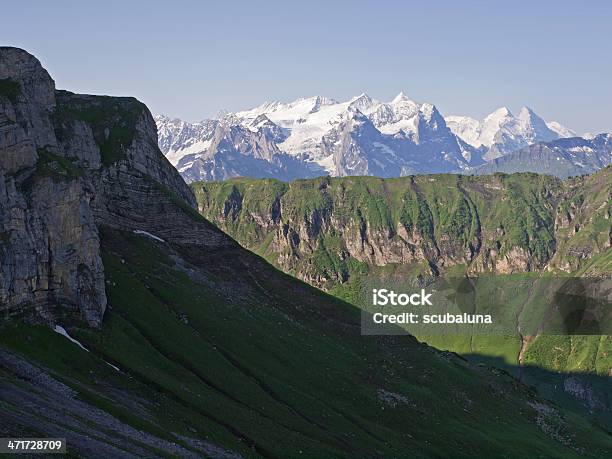 Bernese Alps Stock Photo - Download Image Now - Aster, Bernese Oberland, Clear Sky