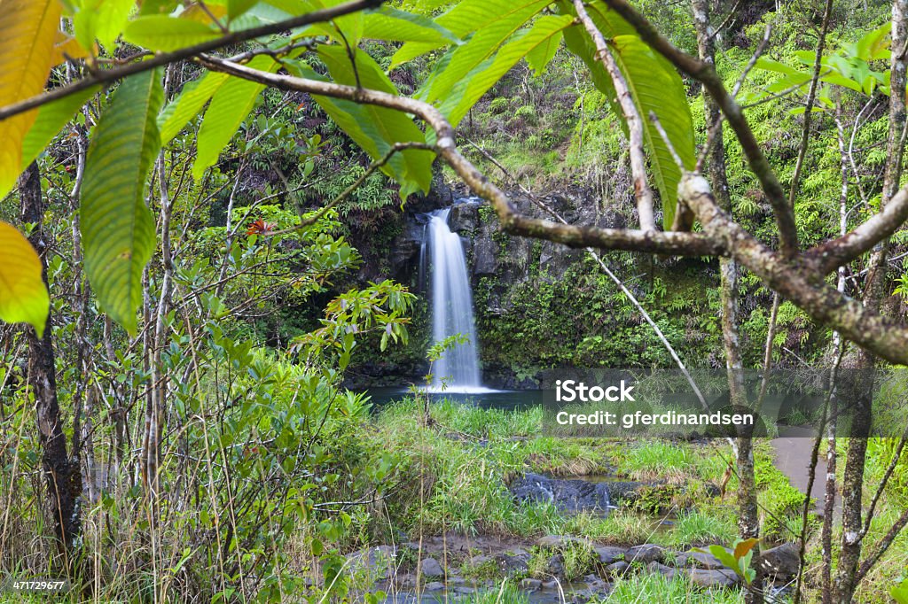Tropikalny wodospad - Zbiór zdjęć royalty-free (Bez ludzi)