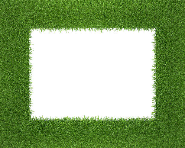 istock Frame made of green grass isolated on white background 471731590