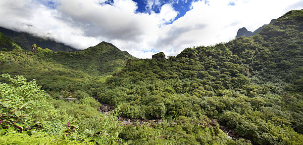 istock Tahiti, mountains. Tropical nature. 471732551