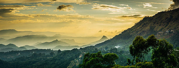 Kerala Mountains South India Kerala Munnar Tea Plantation. kerala south india stock pictures, royalty-free photos & images