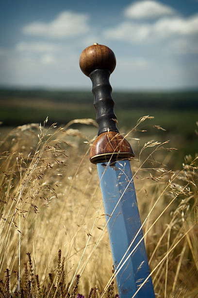 The hilt of a traditional Roman sword, or gladius. This is a Gladius Hispanus, used by Legionaries (and Gladiators) from 200 BC until 20 BC