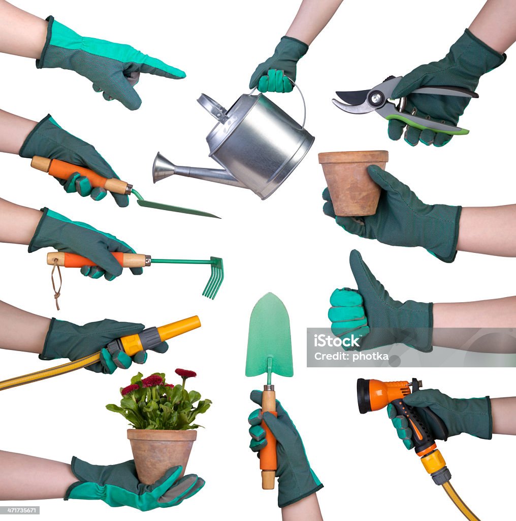 Hand in a glove holding gardening tools Gardening Glove Stock Photo