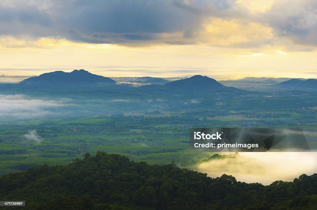 Belo nascer do sol nas montanhas enevoadas manhã. - Foto de stock de Agricultura royalty-free