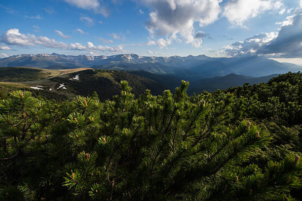 istock Maramures Mountain Nature Park Reserve 471736065