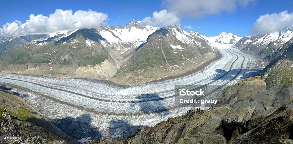 The Aletsch Glacier Stitched panorama made of 3 pictures from the Eggishorn. The Aletsch Glacier  is the largest glacier in the Alps. It has a length of about 23 km (14 mi) and covers more than 120 square kilometres (46 sq mi) in the eastern Bernese Alps in the Swiss canton of Valais. The Aletsch Glacier is composed of three smaller glaciers converging at Concordia, where its thickness is estimated to be near 1 km (3,300 ft). It then continues towards the Rhone valley before giving birth to the Massa River. Aletsch Glacier Stock Photo