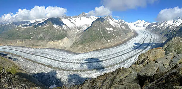 Stitched panorama made of 3 pictures from the Eggishorn. The Aletsch Glacier  is the largest glacier in the Alps. It has a length of about 23 km (14 mi) and covers more than 120 square kilometres (46 sq mi) in the eastern Bernese Alps in the Swiss canton of Valais. The Aletsch Glacier is composed of three smaller glaciers converging at Concordia, where its thickness is estimated to be near 1 km (3,300 ft). It then continues towards the Rhone valley before giving birth to the Massa River.