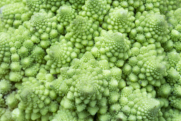 Romanesco Broccoli Macro close up detail of a Romanesco Broccoli fractal plant cabbage textured stock pictures, royalty-free photos & images